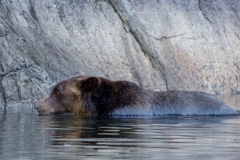 Mum swimming